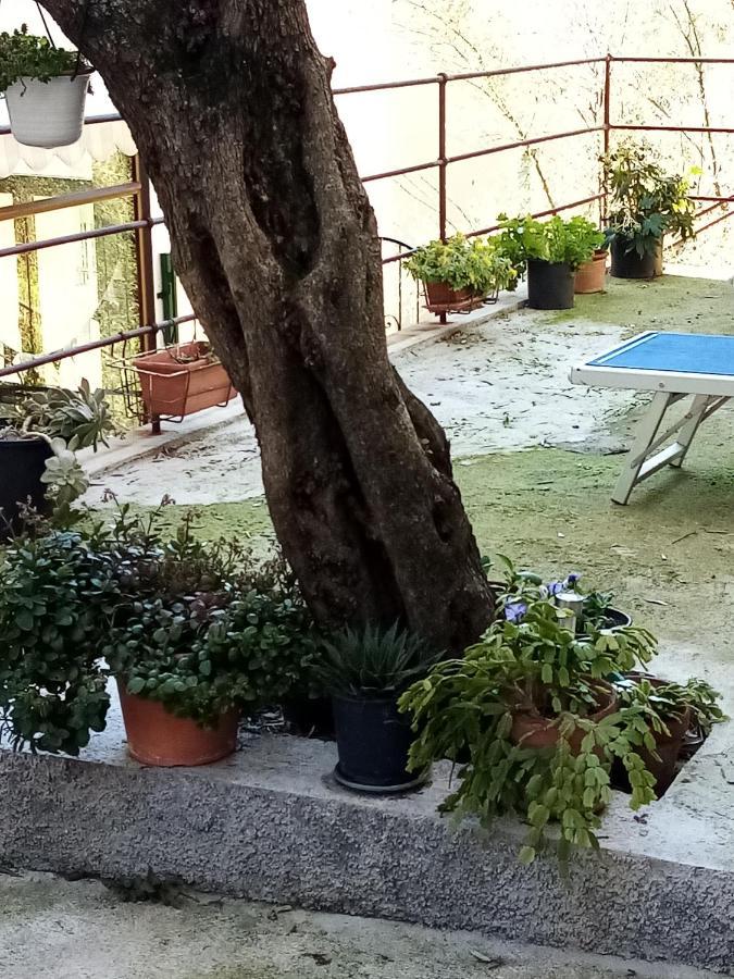 Appartement Casa Dell'Ulivo à Moneglia Extérieur photo
