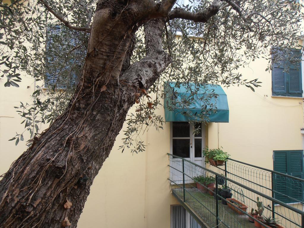 Appartement Casa Dell'Ulivo à Moneglia Extérieur photo